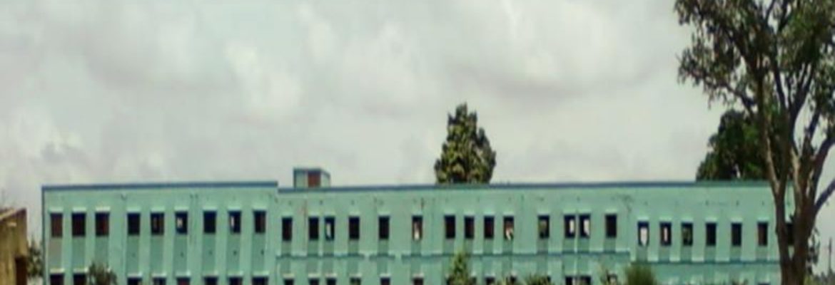 Ichapur N.C High School (H.S)